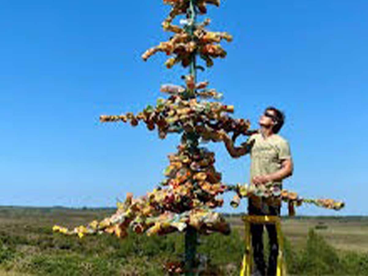  Sculptor Creates Tree Using Years of Collected Plastic