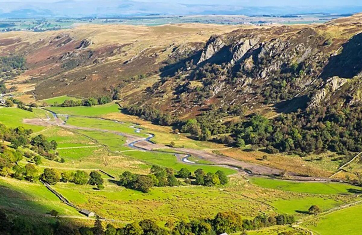 How Restoring River Meanders Can Reduce Flood Risks and Revitalize Ecosystems