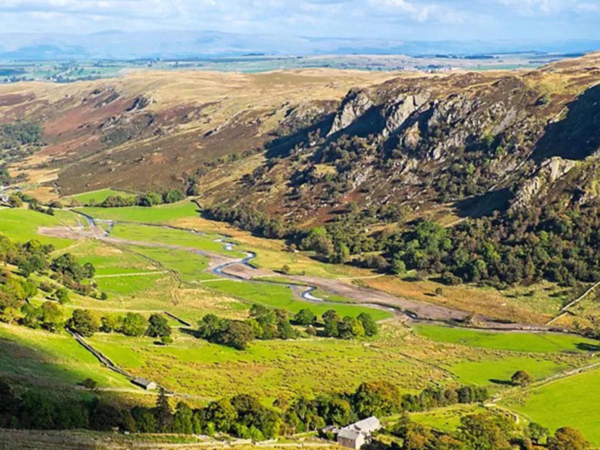  How Restoring River Meanders Can Reduce Flood Risks and Revitalize Ecosystems